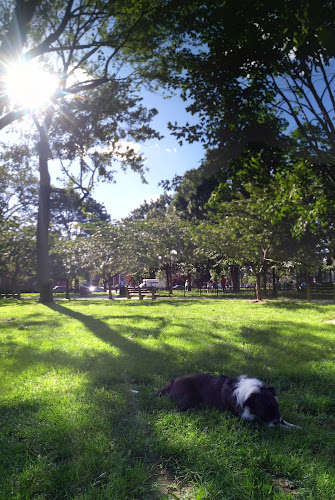 Stanton Park