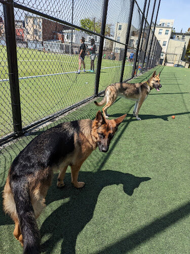 Bundy Dog Park