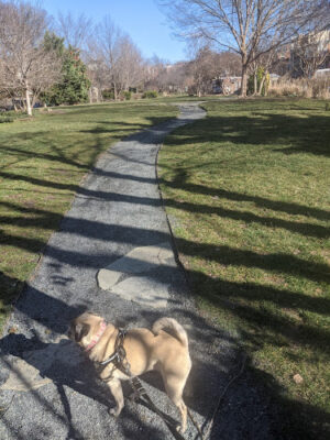 Crispus Attucks Park