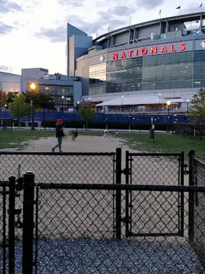 Dock 79 dog park
