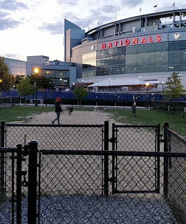 Dock 79 dog park