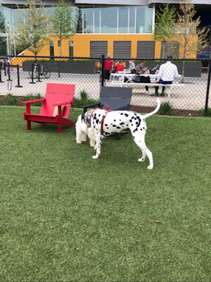 Dock 79 & Maren Dog Park (Private)