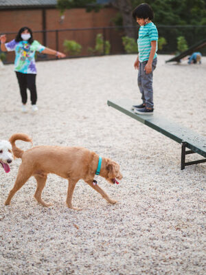 Dog Park at The Parks