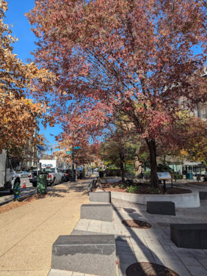 Duke Ellington Park