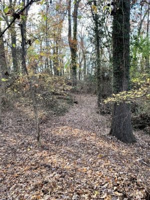 Fort Circle Park Hiker-Biker Trail
