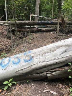 Fort Circle Park Hiker-Biker Trail