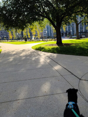 Franklin Park