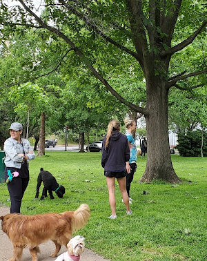 Garfield Park