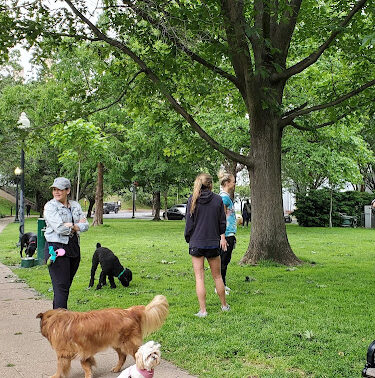Garfield Park