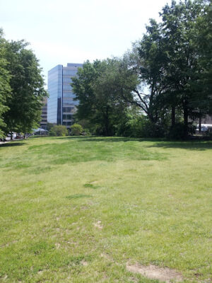 Hancock Park