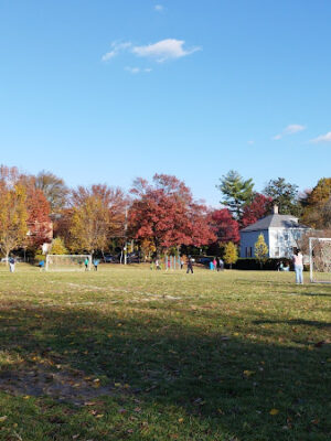 Hardy Dog Park