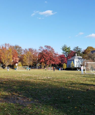 Hardy Dog Park
