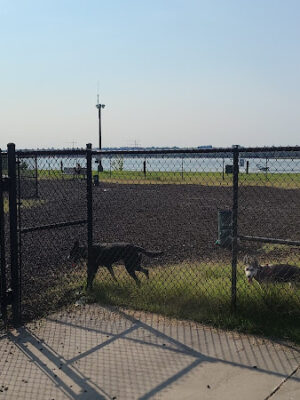 JBAB Dog Park