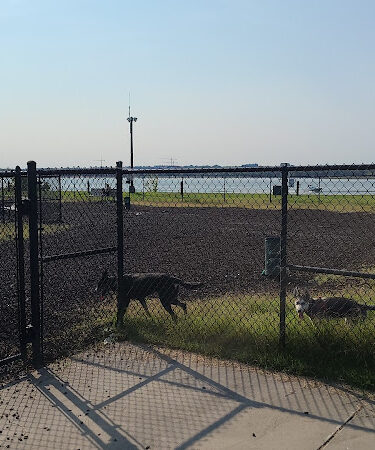 JBAB Dog Park