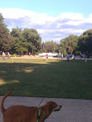Lincoln Park