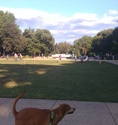 Lincoln Park