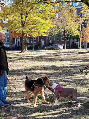Logan Circle