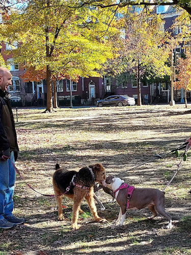 Logan Circle