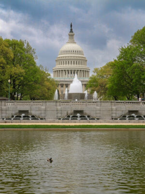 Lower Senate Park