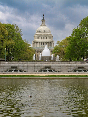 Lower Senate Park