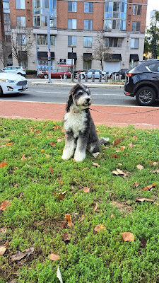 Milian Park