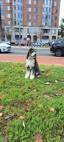 Milian Park