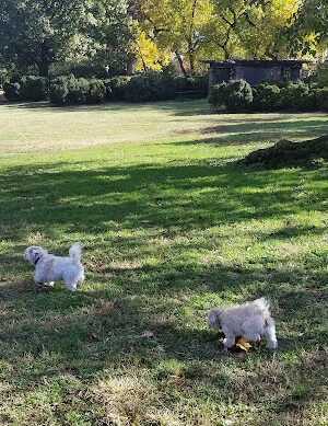 Montrose Park