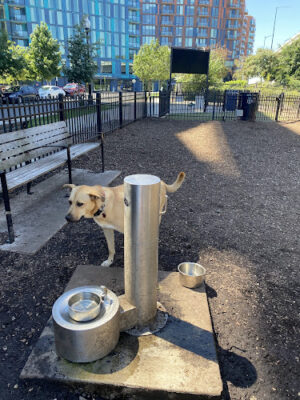 Navy Yard Dog Park