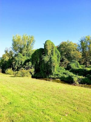 Oxon Run Park