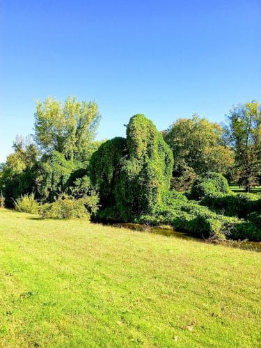 Oxon Run Park