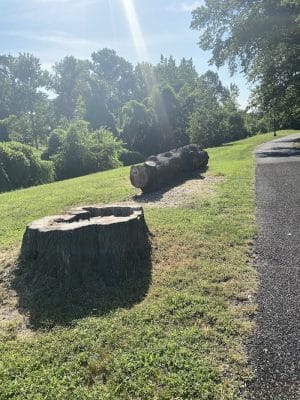 Oxon Run Park - Washington,
