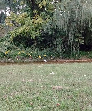 Oxon Run Park