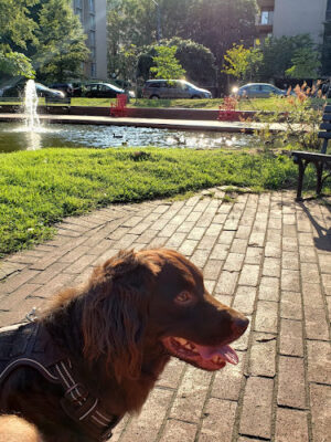 Southwest Duck Pond