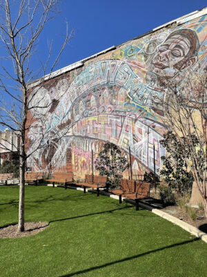 Swampoodle Terrace