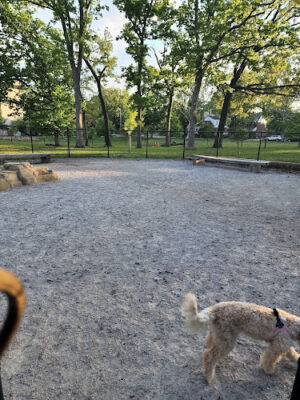 Takoma Dog Park