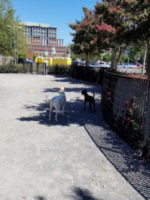The Yards Park