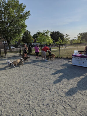 Virginia Avenue Park