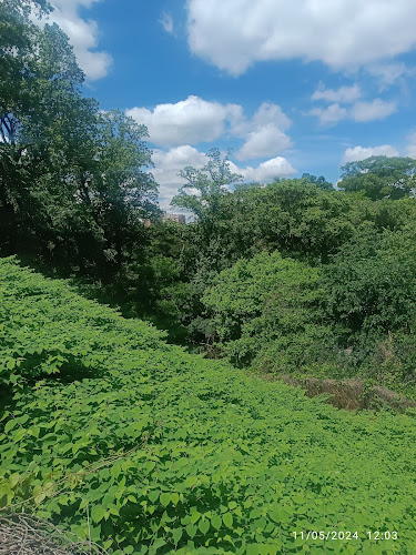 Walter Pierce Dog Park