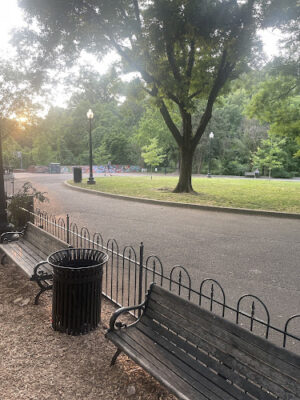 Walter Pierce Park Athletic Field