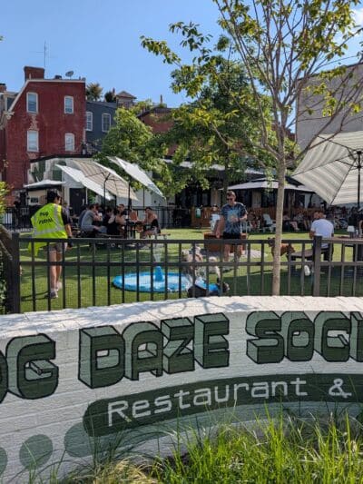 Dog Daze Social Club - Washington,