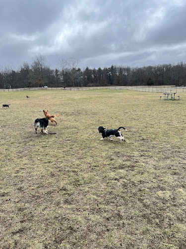 Stony Creek Dog Park