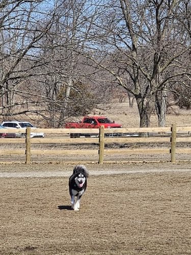 Stony Creek Dog Park