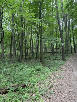 Stony Creek Dog Park