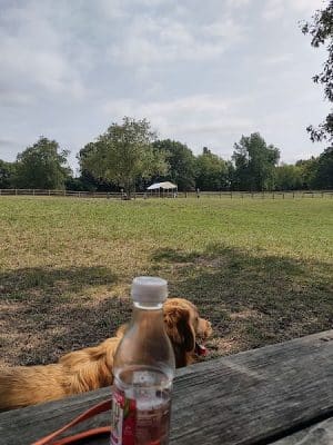 Stony Creek Dog Park