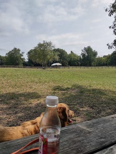 Stony Creek Dog Park