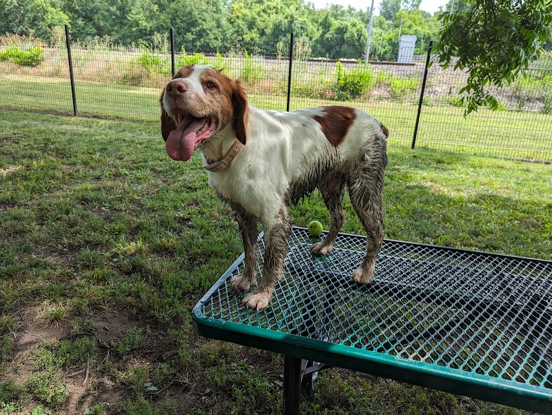 Southpoint Dog Park - Washington, MO