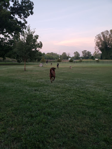 Southpoint Dog Park