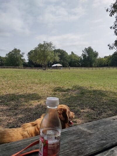 Stony Creek Dog Park - Washington, MI