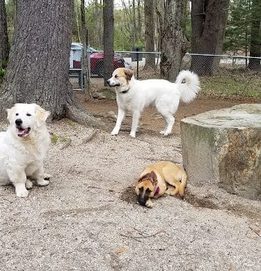 Waterboro Dog Park