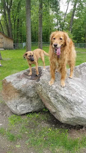 Waterbury Dog Park